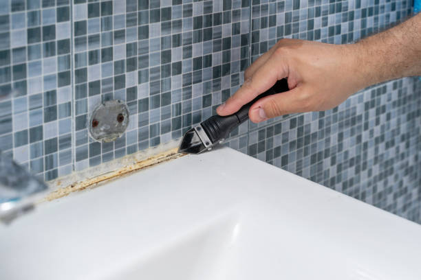 Best Commercial Mold Remediation in Diamond, IL